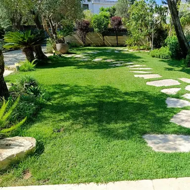 עבודה של ניר, גנן (1)
