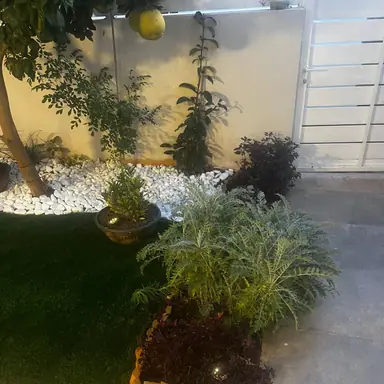 עבודה של איציק, גנן (9)