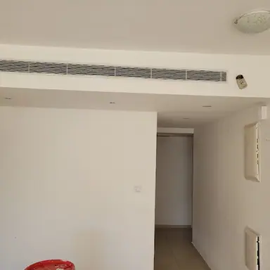 עבודה של רפי, צבע (3)