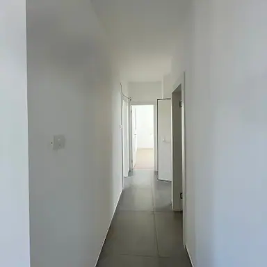 עבודה של דניאל, צבע (1)