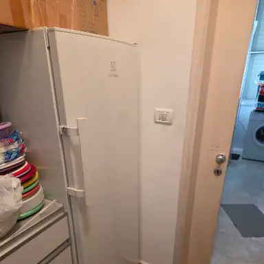 עבודה של דוד, מוביל (2)