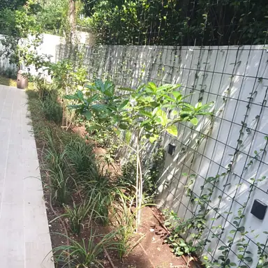 עבודה של נדב, גנן (23)