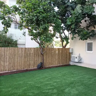 עבודה של מודי, גנן (21)