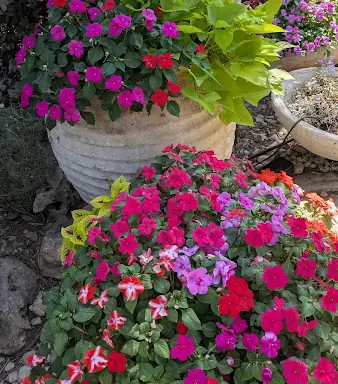 עבודה של יותם, גנן (2)