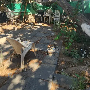עבודה של דימה, גוזם עצים (9)