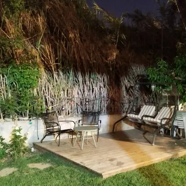 עבודה של נדב, גנן (10)