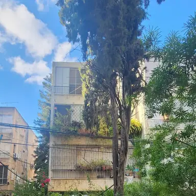 עבודה של דימה, גוזם עצים (15)