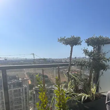 עבודה של מודי, גנן (11)