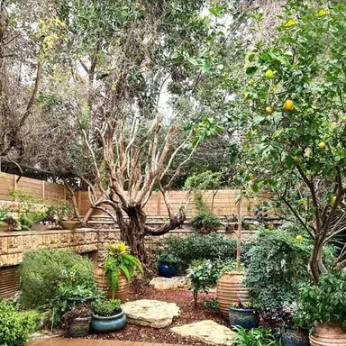 עבודה של אילן, גנן (7)