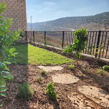עבודה של נדב, גנן (7)