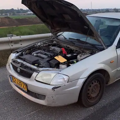 עבודה של ריקו, גורר (5)