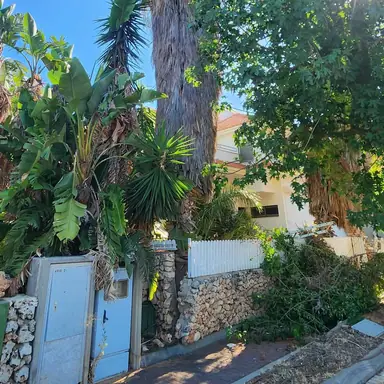 עבודה של דימה, גוזם עצים (16)