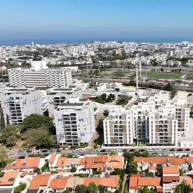 עבודה של דניאל, מתווך (22)