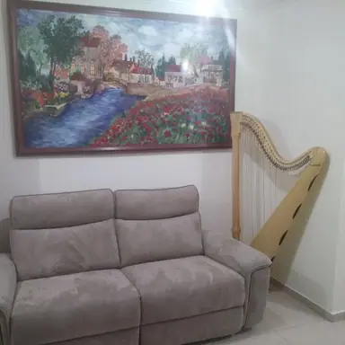 עבודה של שמעון, צבע (5)
