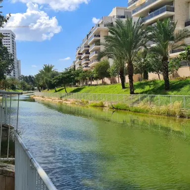 עבודה של צחי, מתווך (6)