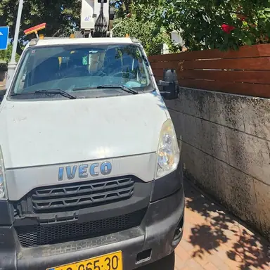 עבודה של דימה, גוזם עצים (18)