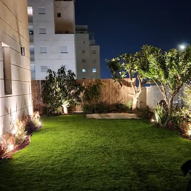 עבודה של שי, גנן (3)