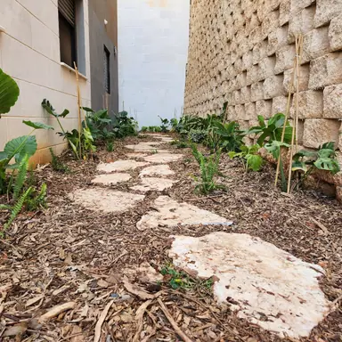 עבודה של נדב, גנן (11)