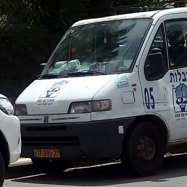 עבודה של דודו, מוביל (2)