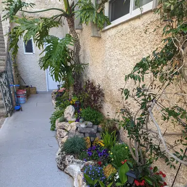 עבודה של ערן, גנן (4)