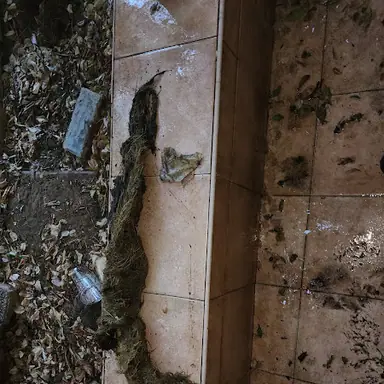 עבודה של אבירם, מאתר נזילות (3)