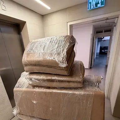 עבודה של שניר, מוביל (1)