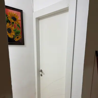 עבודה של אנטון, מתקין דלתות (3)