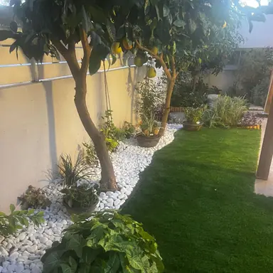 עבודה של איציק, גנן (7)