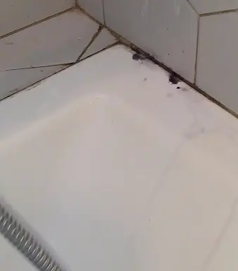 עבודה של פפה, מאתר נזילות (4)