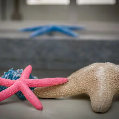 עבודה של אלינור, מעצב פנים (22)