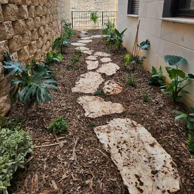 עבודה של נדב, גנן (14)