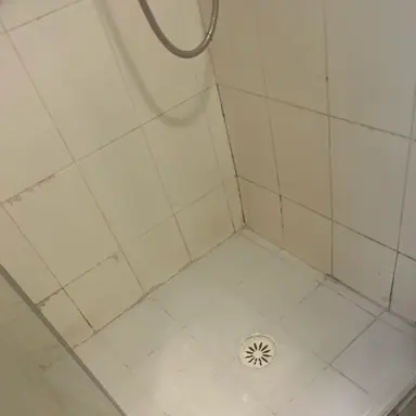 עבודה של פיני, אינסטלטור (4)