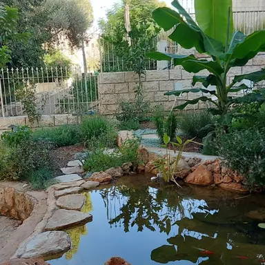 עבודה של ערן, גנן (8)