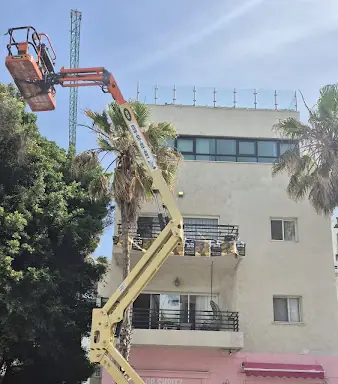 עבודה של מאיר, גוזם עצים (1)