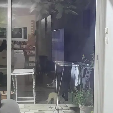 עבודה של אלון, קבלן אלומיניום (7)