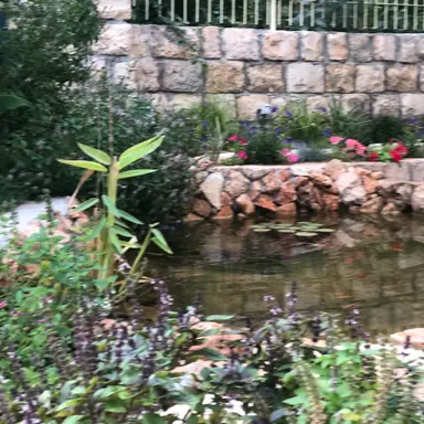 עבודה של ערן, גנן (18)