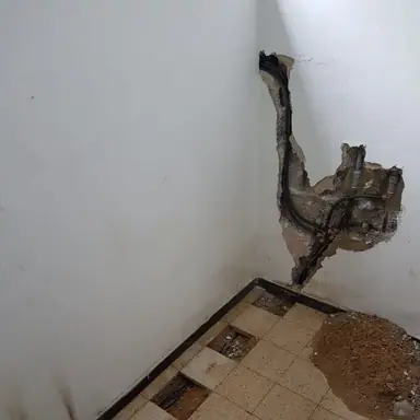 עבודה של לאון, אינסטלטור (8)
