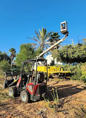 עבודה של דימה, גוזם עצים (24)