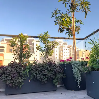 עבודה של דניאל, גנן (12)