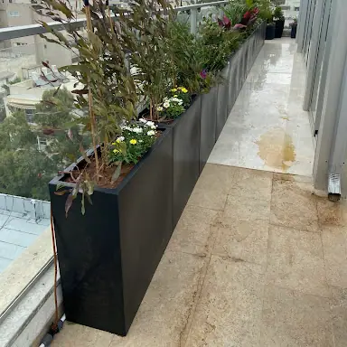 עבודה של דניאל, גנן (15)