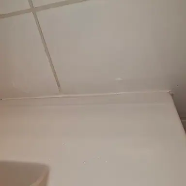עבודה של דניאל, מאתר נזילות (7)
