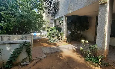 עבודה של רן, גנן (4)