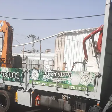 עבודה של אלי, גוזם עצים (17)