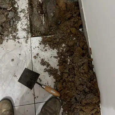 עבודה של פיני, אינסטלטור (10)
