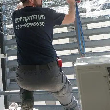 עבודה של רונן, מדביר (3)