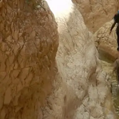 עבודה של טוני, איש עבודות בגובה (3)