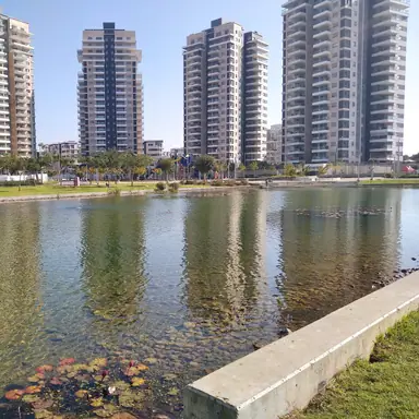 עבודה של ניסים, דלתות פנים (10)