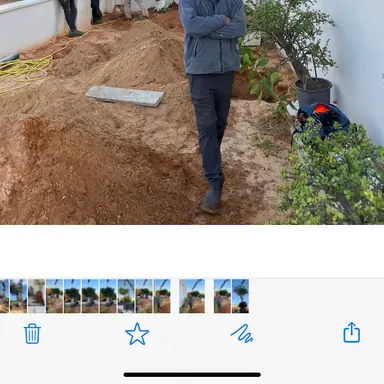 עבודה של אורן, גנן (8)