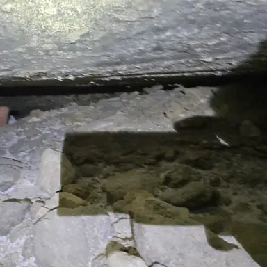 עבודה של טוני, איש עבודות בגובה (21)