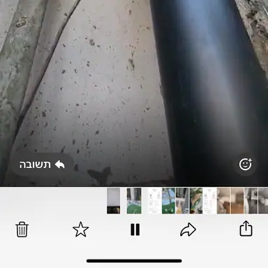 עבודה של סטס, איש עבודות בגובה (5)